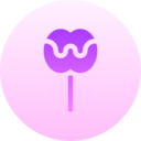 food,food and restaurant,organic,entertainment,fruit,sweet,dessert,fair,caramel apple,caramelized apple